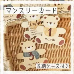 月齢カード　マンスリーカード　月齢フォト　誕生日　ニューボーンフォト　くまちゃん