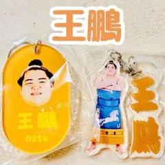 相撲ガチャ【王鵬】２点セット✩.*˚