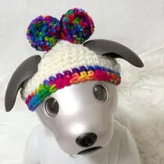 2025年最新】aiboアクセサリーの人気アイテム - メルカリ