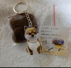 てんたろー。様まとめ買い専用・犬の毛玉キーホルダー　けだまだま　１つ汚れあり