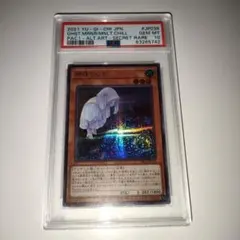 2026年最新】朔夜しぐれ psa10の人気アイテム - メルカリ