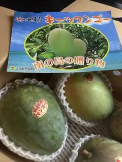 追熟型マンゴー 2品種 常温発送 - メルカリ