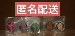 ポケモンコインコレクション 第5弾 ニンフィア　ブースターなど5個セット