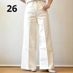 Healthy Denim Wild Ginger バギーデニム