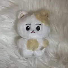 enhypen ヒスン 10cmドール ぬいぐるみ マスター ENHYPEN - メルカリ