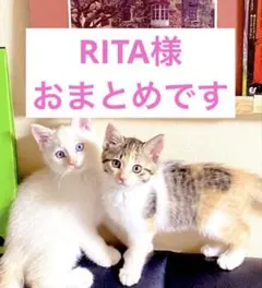 RITA♡ブレスレットはじめました様 リクエスト 4点 まとめ商品