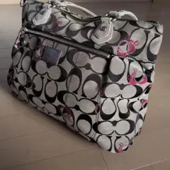 Item thumbnail for item 2ec2fe30-95f3-4393-becd-689a16d6b424