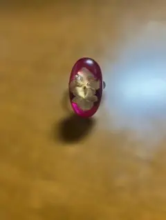 Item thumbnail for item bc54d7ca-df59-4d55-a628-0c19c472dd9e