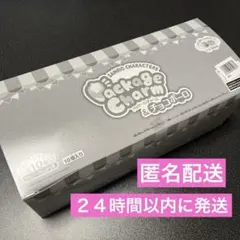 【大人気】サンリオキャラクターズ　パッケージチャーム&チョコボーロ　10個入一箱