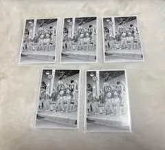 ハイキュー‼︎ クロニクル フォトカード 音駒 5点 ①