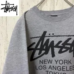 【激レア】STUSSY ステューシー　スウェット　トレーナー　完売モデル　グレー