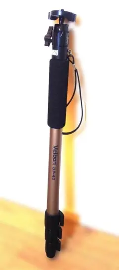 Item thumbnail for item 0361bef9-1fa4-422c-987b-00046ac29ecf