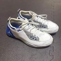 NIKE ジョーダン ADG 2 ゴルフシューズ　値下げ交渉、即購入可能です！