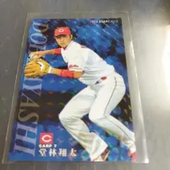 堂林選手.稲葉選手　DVD(堂林直筆サイン入り) TP-4 【堂林翔太/広島東洋カープ】Topps 2025 NPBベースボール