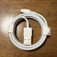 Apple純正　Lightningケーブル USB-A ホワイト