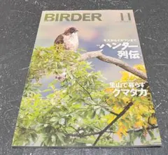 2026年最新】birder 2023の人気アイテム - メルカリ
