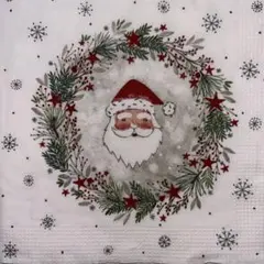 ꕤ︎︎·͜· Xmasカクテル62・ 4枚セットペーパーナプキン
