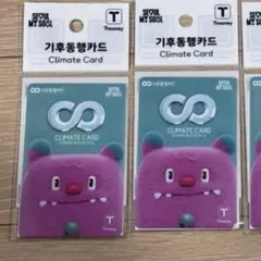 新品 未使用　ソウル市内地下鉄　バス乗り放題　気候同行カード　２枚　初期デザイン