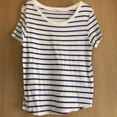 zara ボーダーTシャツ