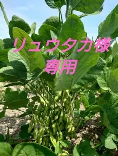 リュウタカ様　専用