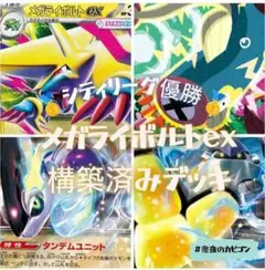 【11/22シティ優勝】メガライボルトex構築済みデッキ