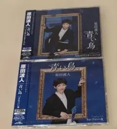 原田波人　青い鳥　NAMITOカーニバル それでいい夜