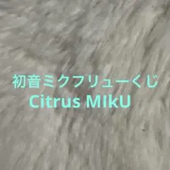 初音ミクCitrus MIKU