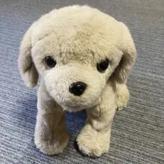 コモアンドレイ レドリー マスコットぬいぐるみ レドリィ 小犬のルーク