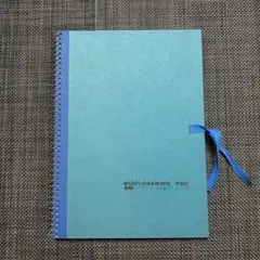 Item thumbnail for item 73b95cd8-84f2-4f84-9150-96ed47eb297c