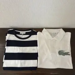 LACOSTE ボーダーTシャツ ポロシャツ2点セット⭐️2時間限定タイムセール⭐️