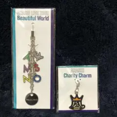 嵐 Beautiful World ストラップ&チャリティチャーム
