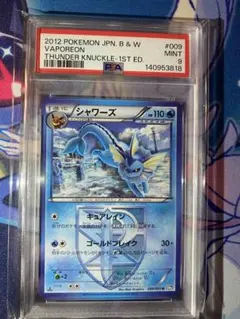 パチリス C BW8 ライデンナックル 019/051 1枚 SALE】ポケモンカード パチリス BW8 ライデンナックル 019/051 - メルカリ