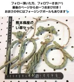 〖85〗バードトイ　文鳥　インコおもちゃ　熊本県産い草　フォージングトイ　バルサ