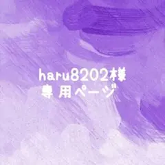 haru8202様 リクエスト 2点 まとめ商品