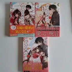 せつなの嫁入り 3巻セット