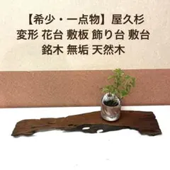 2026年最新】天然木敷台の人気アイテム - メルカリ