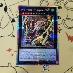 k9 遊戯王OCG デュエルモンスターズ
