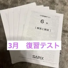 サピックス 新2年 3月組分けテスト SAPIX 入室テスト 2023年 - メルカリ