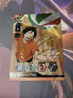 ハイキュー　バボカ　山口忠　サイン