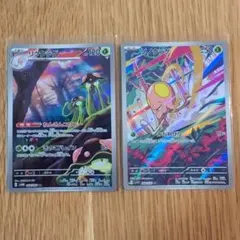 リククラゲar ノノラクゲar ねんきんコロニー