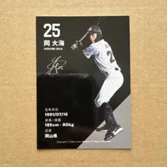 千葉ロッテマリーンズ　プレイヤーズシート　リアルトレカ　岡大海