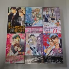 〔R8 2/24〕BL小説 6冊セット（PP-1）