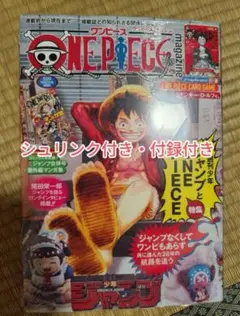 ONE PIECE ワンピースマガジン 20号 プロモ　ルフィ　未使用　新品