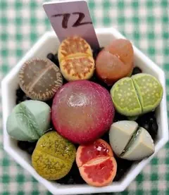 きっちょむ様 リクエスト 2点 まとめ商品