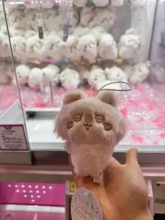 ぬいぱれっと モモンガ