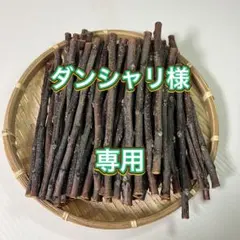 ダンシャリ様専用