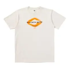 Item thumbnail for item 32032238-446e-4c1a-a5ac-92e29fa2ca9d