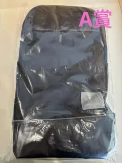 JRA ウェルカムチャンス　A賞　バックパック