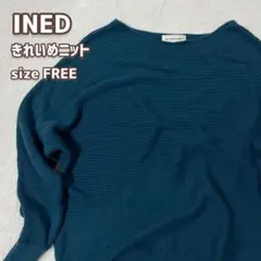 INED ニット きれいめ ゆったり グリーンブルー フリーサイズ