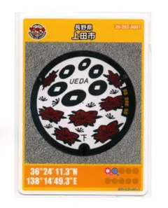 Item thumbnail for item ee2df5ae-0ed0-4d61-a1c8-54ff343942f0